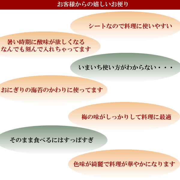 梅とこんにゃくで作った梅ペーパー、梅料理にもってこいの一品